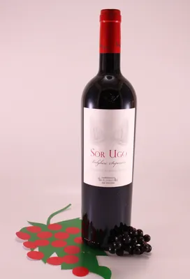 Produktbild von Sor Ugo - 2022 - Weingut Aia Vecchia