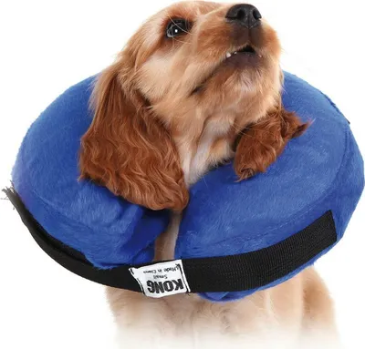 Immagine prodotto di Collare di recupero per cani KVP Kong Cloud Blue gonfiabile