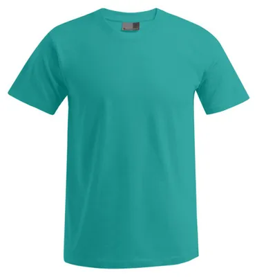 Produktbild von Promodoro - "Premium" T-Shirt für Herren LT3116 (M) (Jadegrün)