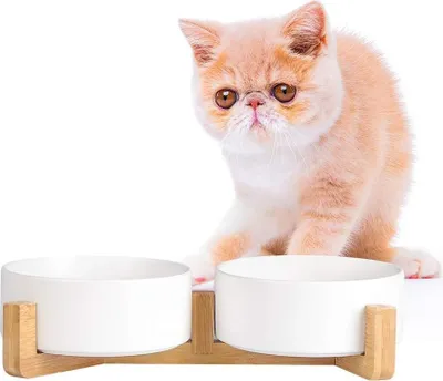 Produktbild von Keramische Hundenapfset mit rutschfester Holzunterlage - kein Verschütten - doppelte Haustierschüssel für Futter und Wasser - 2 Schalen - geeignet für Katzen und kleine Hunde