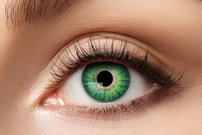 Produktbild von Zoelibat 12 Monats-Kontaktlinsen Leaf – Grüne Motivlinsen Natur Look Eyecatcher