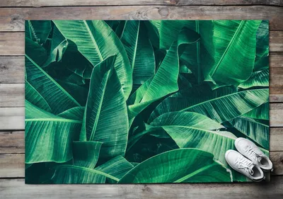 Produktbild von Fußmatte Aussen - Schuhmatte Haustür- Schmutzfangmatte Türvorleger - Outdoor Teppich Schmutzfänger - 150x100 cm - Laubpflanzen