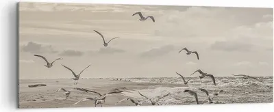 Produktbild von Bild auf Leinwand - Leinwandbild - Einteilig - Möwen Küste Boho - 140x50cm - Wand Bild - Wanddeko - Wandbilder - Leinwanddruck - Bilder - Wanddekoration - Leinwand bilder - Wandbild - AB140x50-4723
