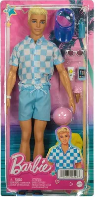 Image de Barbie Journée à la plage Ken