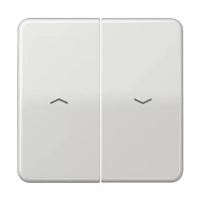 Produktbild von Jung Wippe Symbole lgr CD 595 P LG CD595PLG