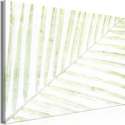 Produktbild von Vliesstoff Leinwandbild - Palm Leaf (1 Part) Wide 120x80 cm Blätter b-C-0588-b-a