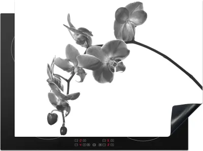 Produktbild von KitchenYeah© Herdabdeckplatte Orchidee vor weißem Hintergrund - schwarz und weiß , 70x52cm, Küche Deko, Glaskeramikkochfeld Herdabdeckung, Abdeckplatte fùr Kochfeld
