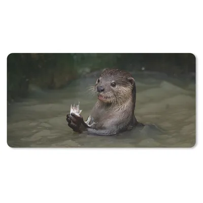 Produktbild von MuchoWow® Mauspad Mousepad Otter mit Futter im Wasser 60x30 cm - Mousepads - Maus Mat - Pad - Mausunterlage - Nachhaltig