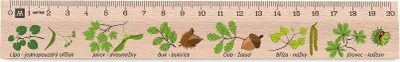 Obrázek produktu pro Metrie | Didakt-M02, Dřevěné pravítko s potiskem | Listnaté stromy | 20 cm