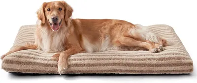 Obrázok produktu pre Pelech pre psov XL, 102x70x10 cm, plyš, pre veľkých psov, prateľný