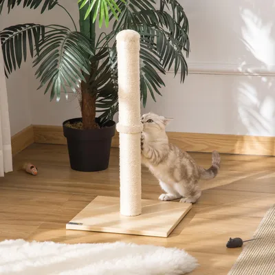 Productafbeelding van Kratzbaum, slijtvast materiaal, compact ontwerp, legergroen