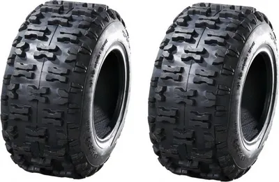 Produktbild von 2X Reifen 16x6.50-8 P5016 Reifen für Aufsitzmäher Rasentraktor Schneefräse Quad Schneeräumer Kinderquad Rasenmäherreifen Rasenreifen in der Gr. 16 x 6.50 – 8 16x6.50-8 16 x 6.50-8 NEU