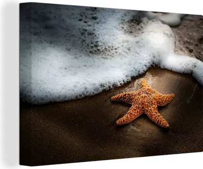 Produktbild von OneMillionCanvasses® - Leinwandbilder - 140x90 cm, Seestern - Sand - Wasser, Wandbilder Kunstdruck Wanddekoration - Foto auf Leinwand - Gemälde auf Holzrahmen