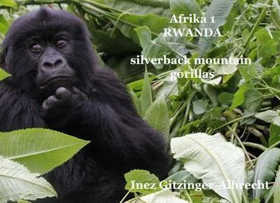 Immagine prodotto di Africa 1 Ruanda