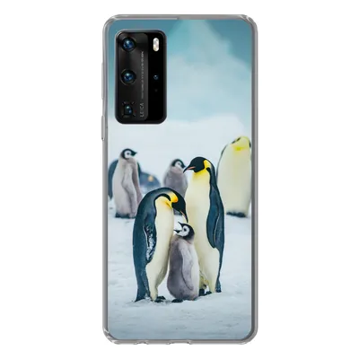 Produktbild von MuchoWow® Handyhülle Schutzhülle Hülle für Huawei P40 Pro Kaiserpinguin-Küken wird gefüttert Silikon Softcase Handy Hülle - Schutz