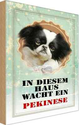 Produktbild von vianmo Holzschild 30x20 cm Hund in diesem Haus wacht Pekinese Tier Haustier