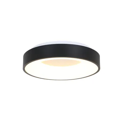 Image de Steinhauer - plafonnier - Ringlede - noir - plastique métal - Ø 38cm - LED - 2562ZW