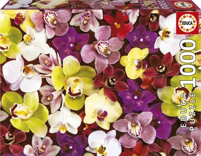 Produktbild von Educa - Puzzle Orchid Collage - 1000 dielov