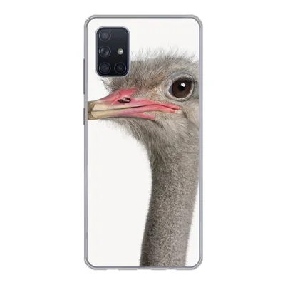 Produktbild von MuchoWow® Handyhülle Schutzhülle Hülle für Samsung Galaxy A71 Strauß - Tiere - Kinder - Jungen - Mädchen - Vogel Silikon Softcase Handy Hülle - Kartenbesitzer