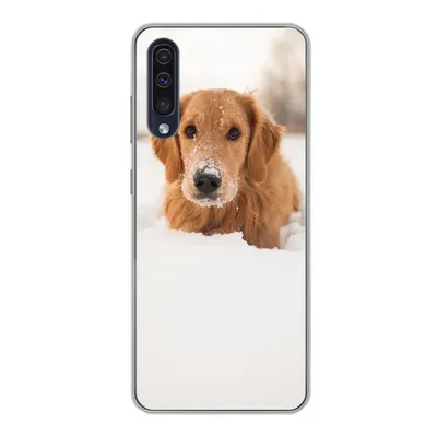 Produktbild von MuchoWow® Handyhülle Schutzhülle Hülle für Samsung Galaxy A30s Hund - Schnee - Winter Silikon Softcase Handy Hülle - Karteninhaber