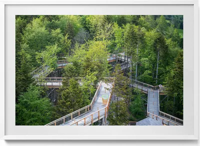 Produktbild von Ein Weg in Krynica Zdrój– Wandbild mit Rahmen – Gerahmtes Bild  – Wanddekoration – 100x70 cm –  Weiß Rahmen