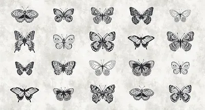 Produktbild von Tadessi Fototapete | Schmetterling | 5.00 m x 2.70 m | Weiß | Schwarz | Wandbild | Digitaldruck