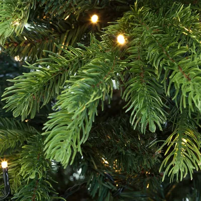 Produktbild von Weihnachtsbaum Excellent LED Kalmar 150 cm mit Beleuchtung - Luxusedition - 210 Lämpchen