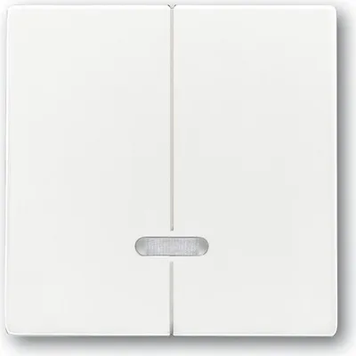 Immagine prodotto di Busch Jaeger 6599-0-2908 Lichtschalter Weiß (6599-0-2908)
