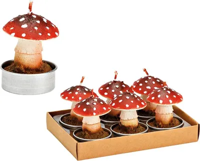 Image de Bougies chauffe-plat Champignon en cire Set de 6