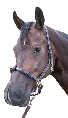 Produktbild von Nasenfliegenschutz für Pferde Nüsternschutz Insektenmaulnetz schwarz Pony
