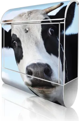 Zdjęcie produktu dla banjado Design Skrzynka pocztowa stalowa biała z przegródką na gazety, malowana proszkowo „Muh” 38 x 46 x 12,5 cm i 2 klucze – skrzynka pocztowa A4 z otworem na listy, wraz z materiałami montażowymi [BK 10104]