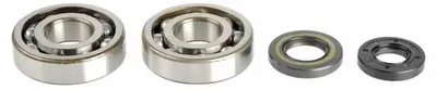 Imagen del producto de ATHENA P400250444256: Juntas de reten del cigüeñal