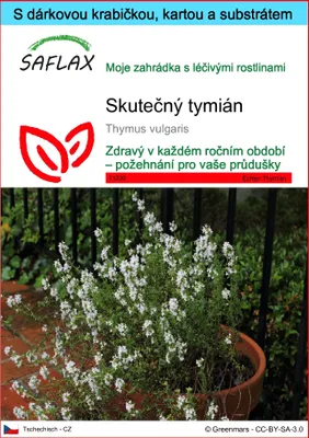 Obrázek produktu pro SAFLAX Dárková sada - Skutečný tymián - Thymus vulgaris - 200 Semena - S dárkovou krabičkou, přepravním štítkem, dárkovou kartou a pěstebním médiem