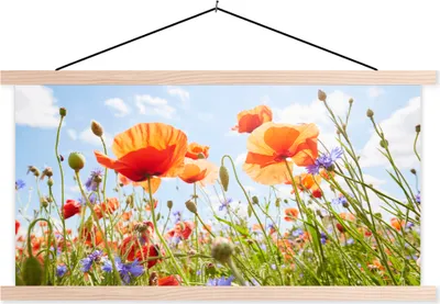 Produktbild von MuchoWow® Textilposter Blumen - Mohn - Frühling - Natur - Rot - Blau 120x60 cm mit holzfarbenen Rahmen - Klemmleiste