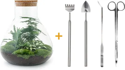 Produktbild von Diy Terrarium - Sam Xl - ↕ 35 Cm