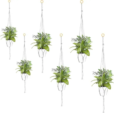 Produktbild von Macramé-Pflanzenhänger Set, 6 Stück, 60 cm bis 100 cm, für Wand- und Deckenmontage