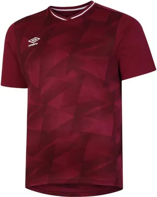 Image de Umbro - Maillot manches courtes "Triassic" pour enfants UO1898 (146-152) (Bordeaux/Couleurs grises)