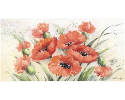 Produktbild von Leinwandbild Klatschmohn 100x50 cm