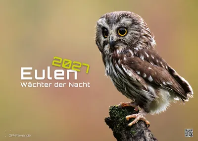 Produktbild von Eulen - Wächter der Nacht - 2027 - Kalender DIN A2