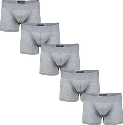 Image de Coton MAX Boxers Men 5er Pack Grau XL Maxte