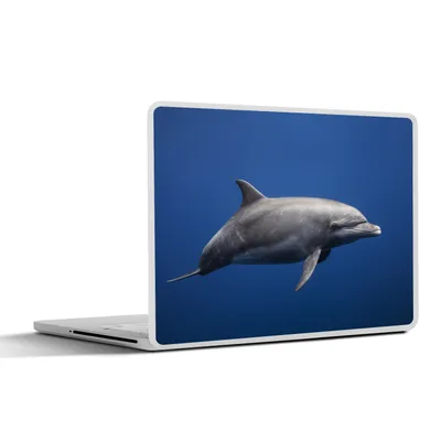 Produktbild von MuchoWow® Laptop Aufkleber Sticker Cover Delfin - Meer - Blau 32.5x23.5 cm - Sticker für Laptop - Selbstklebend