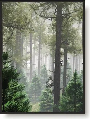 Obrázek produktu pro Nástěnný plakát do obývacího pokoje, kanceláře nebo ložnice Les Stromy 70x100