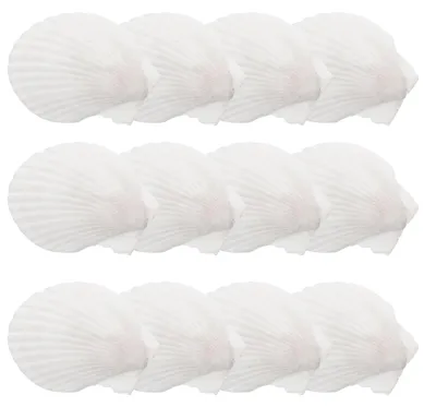 12 weiße Muscheln, 5–7 cm, für Boho-Deko & Basteln