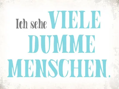 Produktbild von vianmo Holzschild 30x40 cm ich sehe viele dumme Menschen