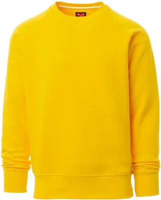 Image de Sweatshirt homme "MISTRAL+" - Payper Jaune XL