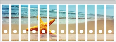 Produktbild von Wallario Ordnerrücken Sticker, selbstklebend für breite Ordner, 12 Stück, Motiv Seestern am Strand am Meer