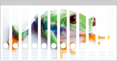Produktbild von Wallario Ordnerrücken Sticker, selbstklebend für schmale Ordner, 12 Stück, Motiv Lustiger Frosch in grün und orange