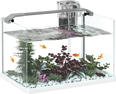 Produktbild von PawHut Glas-Goldfischaquarium mit LED-Beleuchtung, 20 l Tropenaquarium mit Filter und Wasserpumpe, 38 x 26 x 27 cm, weiß
