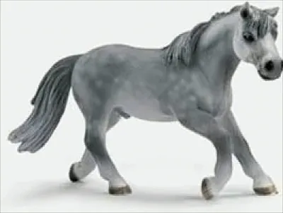 Produktbild von Schleich 13298 Reitpony