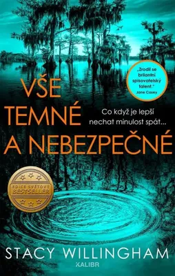 Produktbild von Vše temné a nebezpečné (Willingham Stacy)